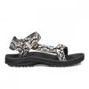 TEVA WINSTED DONNA Grigio